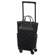 ソフトキャリーケース 約26L 100席以上機内持ち込み可 D-215 シテーロIII バッグ付 L21 ブラック