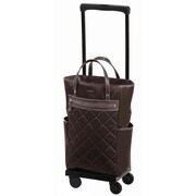 ソフトキャリーケース 約26L 100席以上機内持ち込み可 D-215 シテーロIII バッグ付 L21 ダークブラウン