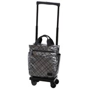 ソフトキャリーケース 約12L 100席未満機内持ち込み可 D-233 タルタン バッグ付 M18 シルバーチェック