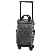 ソフトキャリーケース 約18L 100席以上機内持ち込み可 D-233 タルタン バッグ付 L21 シルバーチェック