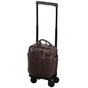 ソフトキャリーケース 約12L 100席未満機内持ち込み可 D-245 イリ レーダ バッグ付 M18 ブラウン