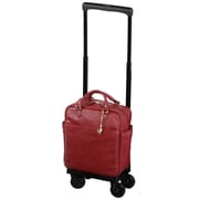 ソフトキャリーケース 約12L 100席未満機内持ち込み可 D-245 イリ レーダ バッグ付 M18 ダークレッド