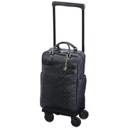 ソフトキャリーケース 約19L 100席以上機内持ち込み可 D-245 イリ レーダ バッグ付 L21 ブラック