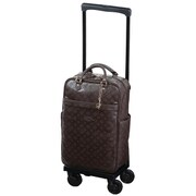 ソフトキャリーケース 約19L 100席以上機内持ち込み可 D-245 イリ レーダ バッグ付 L21 ブラウン