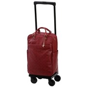 ソフトキャリーケース 約19L 100席以上機内持ち込み可 D-245 イリ レーダバッグ付 L21 ダークレッド