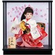 新このみ [お祝いケース雛飾り]