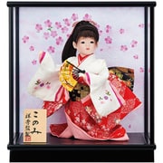 新このみ [お祝いケース雛飾り]