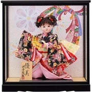 優美 [お祝いケース雛飾り]