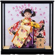 新若菜 [お祝いケース雛飾り]