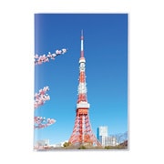 パックン カバーアルバム 高透明 東京タワー PKA-712