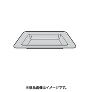 325GP036 [深皿]