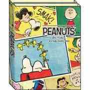 インデックス付ふせん PEANUTS スヌーピー VIN CK P-12279