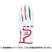 SF-1615JW [TRICOGOLF（トリコゴルフ） グローブ junior（ジュニア） 両手用 Lサイズ（18～19cm） ホワイト]