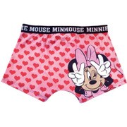 ディズニー ミニー ハート Mサイズ [ボクサーブリーフ]