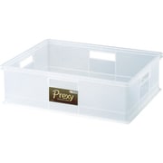 PREXYL [Prexy(プレクシー) 収納ケース Lサイズ クリア]