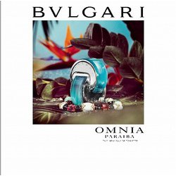 ヨドバシ.com - ブルガリ BVLGARI オムニア パライバ ET/SP