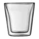 CANTEEN（キャンティーン） ダブルウォール グラス 100ml 2個セット 10108-10