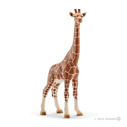 ヨドバシ.com - シュライヒ Schleich 14750 キリン メス [WILD