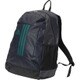 BIP71-AP3252-NS [3 ストライプス BASIC バックパック 30L]