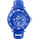 ICE aqua（アイス アクア） アンパロ 38mm スモール 正規輸入品 AQ.AMP.S.S.15