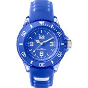 ICE aqua(アイス アクア) アンパロ 38mm スモール 正規輸入品 AQ.AMP.S.S.15