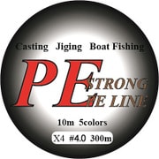 PEライン300m [4.0号]