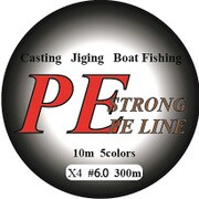 PEライン300m [6.0号]