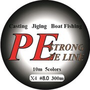 PEライン300m [8.0号]