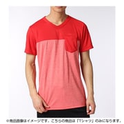 BIO28 AP4473 [HM テロテロ Tシャツ メンズ Lサイズ]