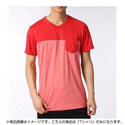 BIO28 AP4473 [HM テロテロ Tシャツ メンズ Mサイズ]