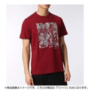 BIO52 AP4551 [SC LIM カモパターンTシャツ メンズ Oサイズ]