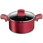 シチューパン IHルビー・エクセレンス 20cm C62244