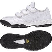 S85376-220 [野球用 トレーニングシューズ adiPURE トレーナー 2 K ジュニア 22.0cm クリスタルホワイト S16/クリスタルホワイト S16/ゴールドメット]