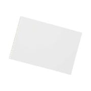 ART SERIES スケッチブック 専用水彩画用紙 22穴 F2 ホワイト D1342