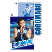 下敷き 五郎丸 257560001