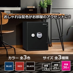 ヨドバシ.com - ディプロマットジャパン diplomat A530R3WR BLACK