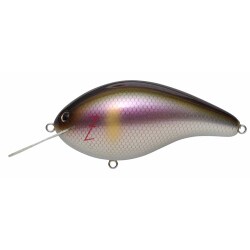 ≪超目玉★12月≫ ヨドバシ.com - セツキアユ BIG-Z Megabass メガバス ルアー・フライ