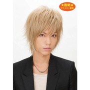 アシッドレイヤー ハニーゴールド [ウィッグ]