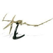 CL-124K [恐竜発掘セット プテラノドン]