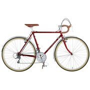 Eiger 26型 外装24段変速 47cm シャドーレッド AYEG476 OR54 シャドーレッド