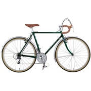Eiger 26型 外装24段変速 52cm ダーキッシュグリーン AYEG526 OG58 ダーキッシュグリーン