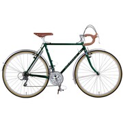 Eiger 26型 外装24段変速 55cm ダーキッシュグリーン AYEG556 OG58 ダーキッシュグリーン