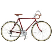 Eiger 26型 外装24段変速 55cm シャドーレッド AYEG556 OR54 シャドーレッド