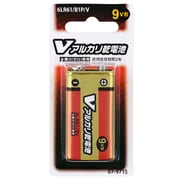 アルカリ乾電池 Vシリーズ 9V形 1本パック 6LR61/B1P/V
