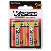 アルカリ乾電池 Vシリーズ 9V形 2本パック 6LR61/B2P/V