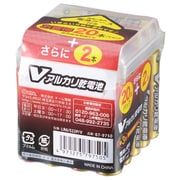 アルカリ乾電池 単3形 Vシリーズ ケース付 22本パック LR6/S22P/V