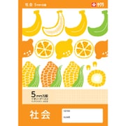 5mm方眼ノート 社会 橙 10冊パック NY46