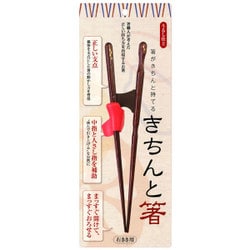 きちんと箸 右利き 21cm