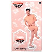 フラッツ2.5D とにかく明るい安村 ピッチャー