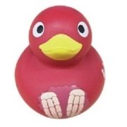 ウルトラアヒル ピグモン